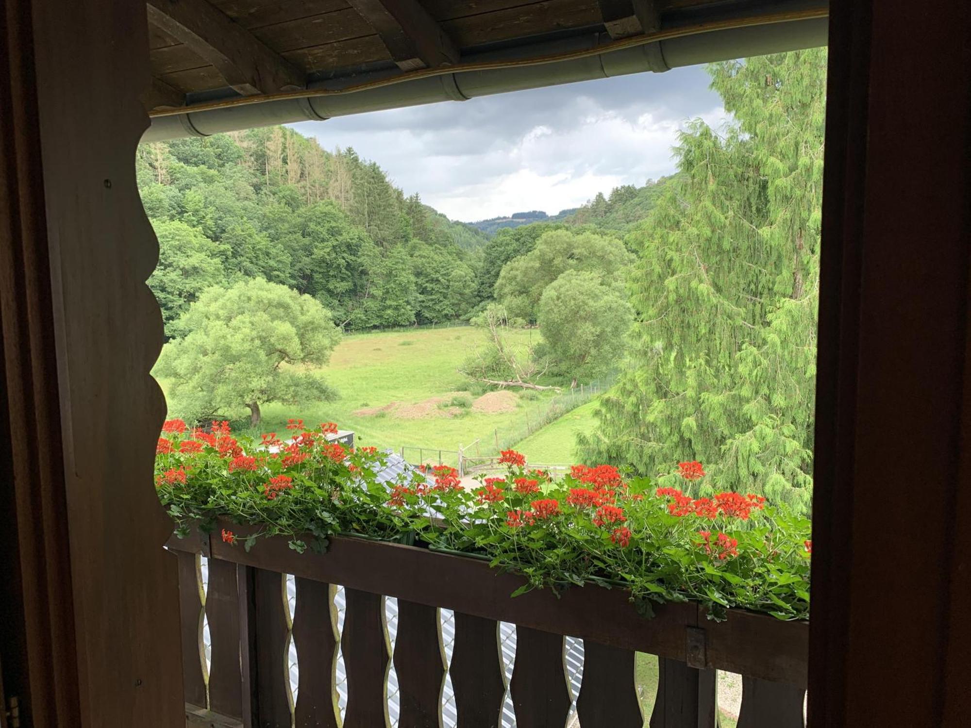 Hotel Forsthaus Volkesfeld Cameră foto